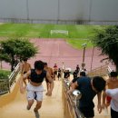 마포유도체육관 이미지