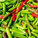 모두싹친환경농자재 이미지