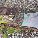 리멤버파크 이미지