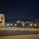 [여수 돌산 카페] PAUSE 아이스티 후기