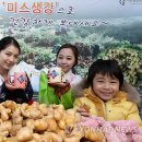 황토생강식품 이미지