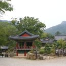우리네꽃화원 이미지