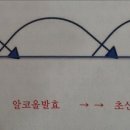 약초 이용론 13강-초산(Acetic acid) 발효 이미지