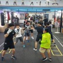 부평복싱짐 이미지