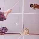 오리야오리야 이미지