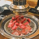 노느라 바쁜 일상 + 양평・춘천 당일치기