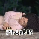 팔마장