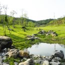 송백로-4 이미지