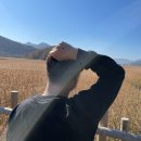 홍교동물병원 | [벌교] 꼬막 제철에 맞춰 벌교 당일치기 이대로 따라가세용 :: 벌교 가볼만한곳 숨은 여행지 총집합...