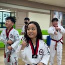 한국체대 신일태권도장 이미지