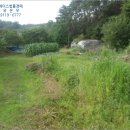 충장로5 이미지