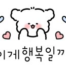 빈이지(성수초점) 이미지