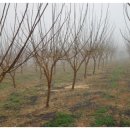 익수농장 이미지