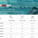 버텍스퍼포먼스 이미지