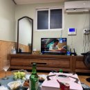 월오포레스트 이미지