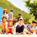정선블루베리협동조합 이미지