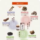 후쿠 이미지
