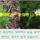 명심보감 이미지