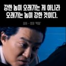앤트케이브 이미지