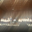 신년공연 「빈소년합창단 신년음악회」 | 빈 소년 합창단 신년 음악회 On stage, 관악아트홀