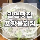 포항물회집 | 광명 하안동 맛집 포항물회집 내돈내산 후기