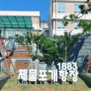 인천 중구청 이미지
