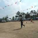 오리궁뎅이 이미지