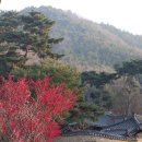 정글디자인 이미지