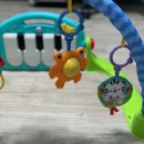 호랑이 체육관 | 피셔프라이스 아기체육관 사용후기