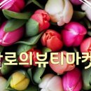 엔케이더블유