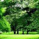 동진여자중학교 이미지