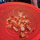 산본횟집 | 군포횟집 출항 산본본점 산본모임장소 추천