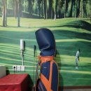 골프랜드(스크린) 이미지