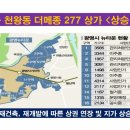 더메종277 이미지