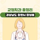 송하치과의원 | 경상남도 창원시 합성동 교정치과 총정리