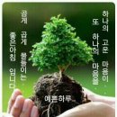 오피니언 이미지