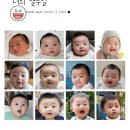 열두달봄스튜디오