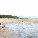 하동수학