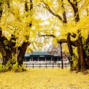 4번 출구 이미지