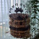 곡물강정으로 만나는 속초 특산물 기념품, 속초 중앙시장 맛집 이부자마약곳간 방문 후기