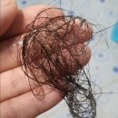 카론바이오 발모에 도움을 주는 탈모샴푸 후기