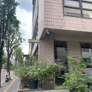 피네(P-ne) 이미지