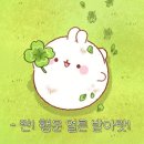 별빛속으로 | 사막의 별빛 속으로