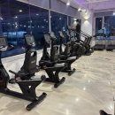 위너스타짐 이미지