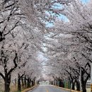 외룡2리마을회관 이미지