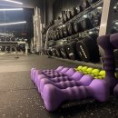 보스휘트니스 이미지