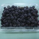 주동농장 이미지