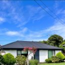 하도탐나 이미지