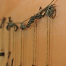 부석사아래단풍길펜션 이미지