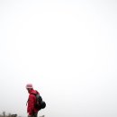 슈바이쯔 이미지